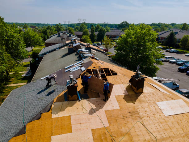 Best Flat Roof Repair Services  in Hillsdale, MI