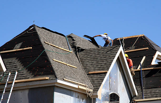 Best Roof Maintenance Services  in Hillsdale, MI