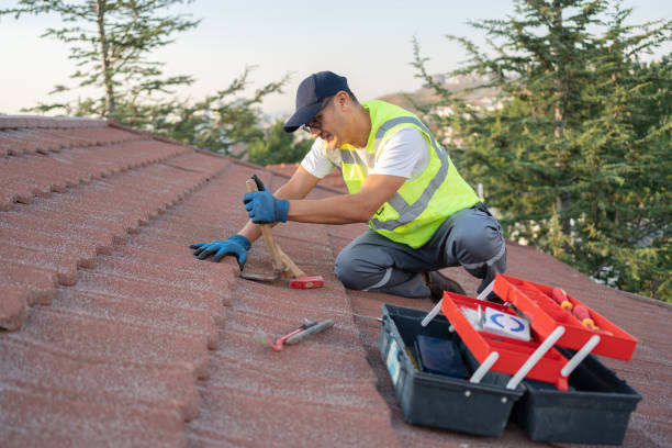 Best Residential Roofing Contractor  in Hillsdale, MI