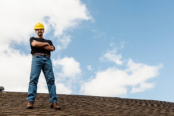 Best Roof Gutter Cleaning  in Hillsdale, MI