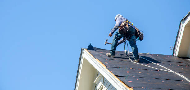 Best Roof Repair Services  in Hillsdale, MI